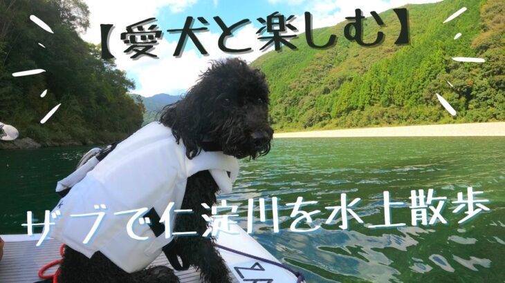 【愛犬と楽しむ】ザブで仁淀川を水上散歩